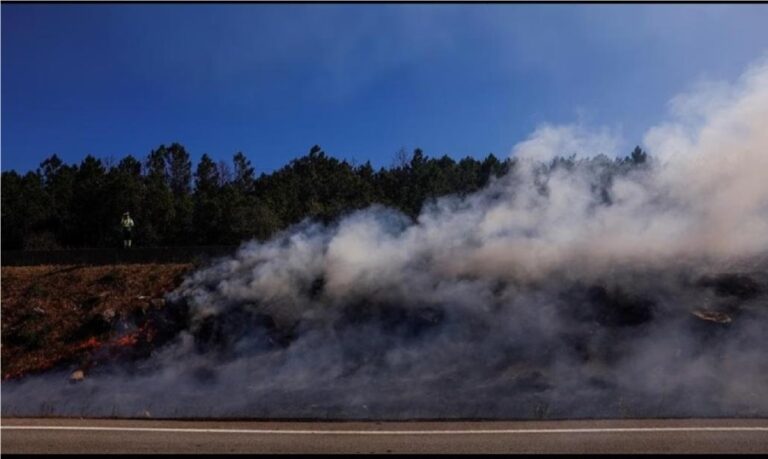 5 days of Portugal Deadly Wildfires