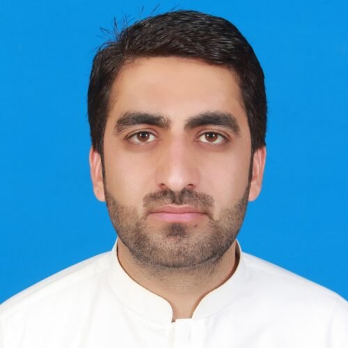 Muhammad Shafique, Author at Global Stratagem Insight